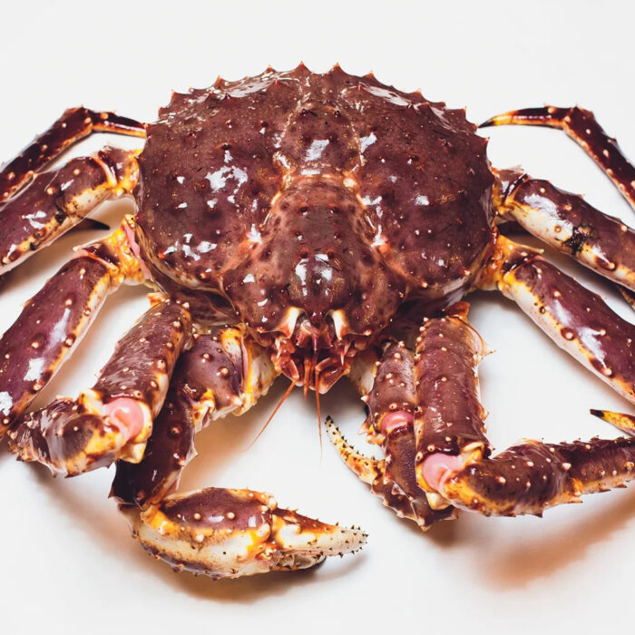 King Crab de California